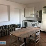 Rent 4 bedroom apartment of 95 m² in Paliano