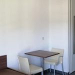 Rent 1 bedroom apartment of 20 m² in Grenoble