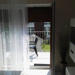 Rent 2 bedroom apartment of 36 m² in Szczecin