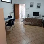 Rent 2 bedroom apartment of 58 m² in Colonna