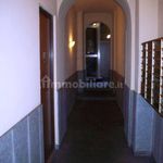 Rent 2 bedroom apartment of 48 m² in Torino