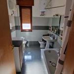 Rent 3 bedroom apartment of 110 m² in Albanella