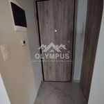 Rent 1 bedroom apartment of 4000 m² in Stavroupoli