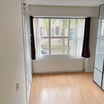 Huur 3 slaapkamer appartement van 65 m² in Delft