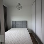Wynajmij 3 sypialnię apartament z 46 m² w Namysłów