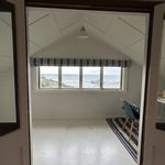 Rent 4 bedroom house in Dunedin