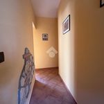 Affitto 2 camera appartamento di 70 m² in Agrigento