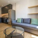 Rent 2 bedroom apartment of 50 m² in Marseille