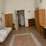 Rent a room of 15 m² in Pisa