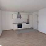 Rent 2 bedroom apartment of 49 m² in Ried im Innkreis