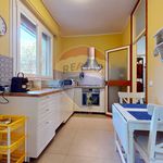 Rent 7 bedroom apartment of 130 m² in Camaiore
