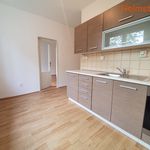 Rent 2 bedroom apartment of 49 m² in Ostrava