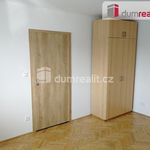 Rent 1 bedroom apartment of 29 m² in Dolní Benešov