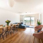 Rent a room of 178 m² in munich