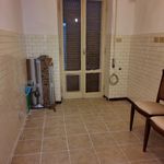 Rent 2 bedroom apartment of 130 m² in rome