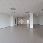 Affitto 1 camera appartamento di 500 m² in Pineto