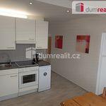 Rent 3 bedroom apartment of 72 m² in Usti Nad Labem