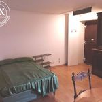 Rent 1 bedroom apartment of 29 m² in Grenoble