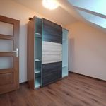 Rent 4 bedroom apartment of 100 m² in Szczecin