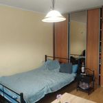 Rent 1 bedroom house of 30 m² in Katowice