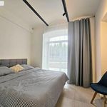 Rent 1 bedroom apartment of 70 m² in Rudník