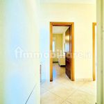 Affitto 3 camera casa di 60 m² in Camaiore