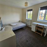 Rent 2 bedroom student apartment in   Hatfield
