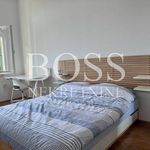 Najam 7 spavaće sobe stan od 145 m² u Rijeka