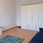 Rent 1 bedroom apartment of 39 m² in Krakow