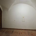 Rent 1 bedroom apartment of 148 m² in Budweis