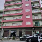 Rent 4 bedroom apartment of 100 m² in Ivrea