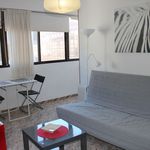 Rent 1 bedroom apartment of 24 m² in Las Palmas