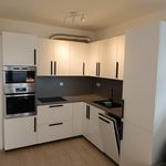 Rent 1 bedroom apartment of 92 m² in Brno