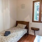 Rent a room of 100 m² in Firenze