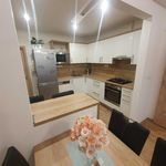 Rent 4 bedroom apartment in Liberec
