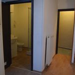  appartement avec 1 chambre(s) en location à Leuze-en-Hainaut