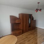 Rent 1 bedroom apartment of 32 m² in Orzeszków