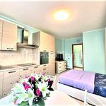 Rent 1 bedroom apartment of 36 m² in Novara