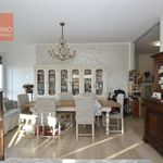Rent 2 bedroom apartment of 110 m² in Torino