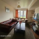 Rent 4 bedroom student apartment in Hatfield