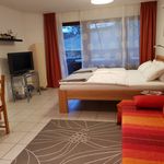 Rent 1 bedroom apartment of 33 m² in Freiburg im Breisgau
