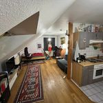 Rent 1 bedroom apartment of 47 m² in Braunschweig