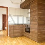 Rent 2 bedroom apartment of 153 m² in Prague