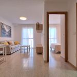 Alquilo 1 dormitorio apartamento de 47 m² en Murcia