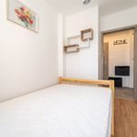 Rent 2 bedroom apartment of 35 m² in Bielsko-biała