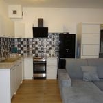 Rent 1 bedroom apartment of 49 m² in Katowice
