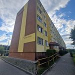 Rent 3 bedroom apartment of 48 m² in Grudziądz