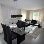 Rent 1 bedroom apartment of 120 m² in Bree