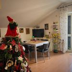 Rent 3 bedroom apartment of 60 m² in Ardea