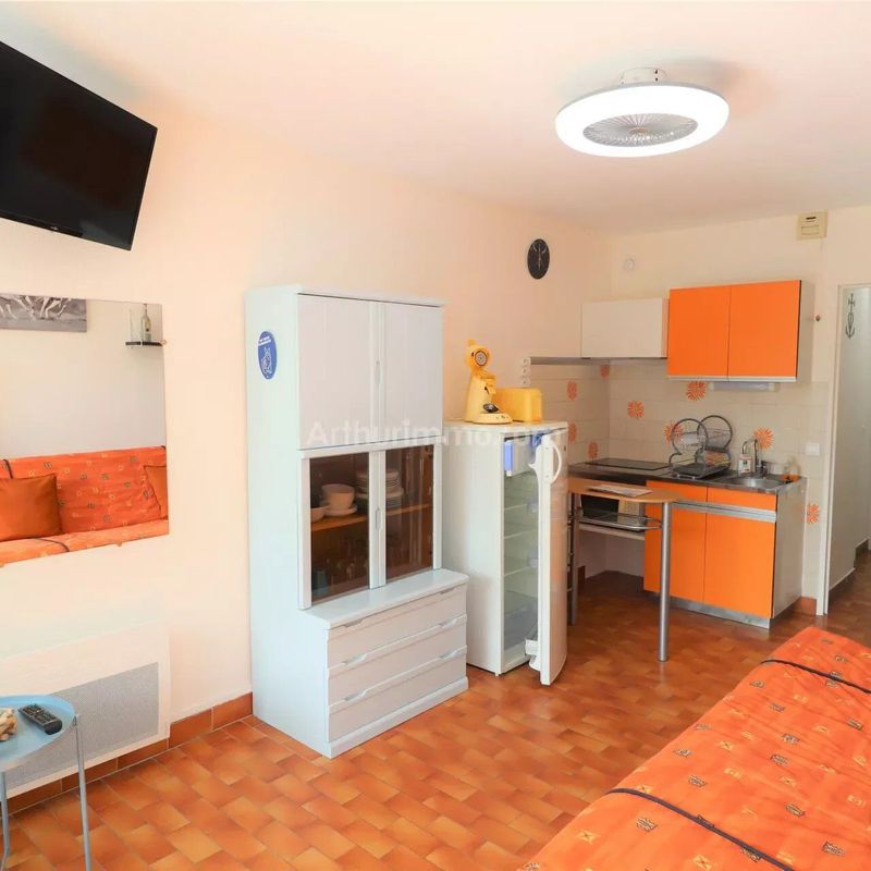 Louer appartement de 1 pièce 19 m² 501 € à Le Grau-du-Roi (30240) : une annonce Arthurimmo.com